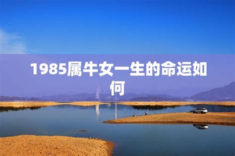 1985属